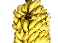 Poomgalli 1